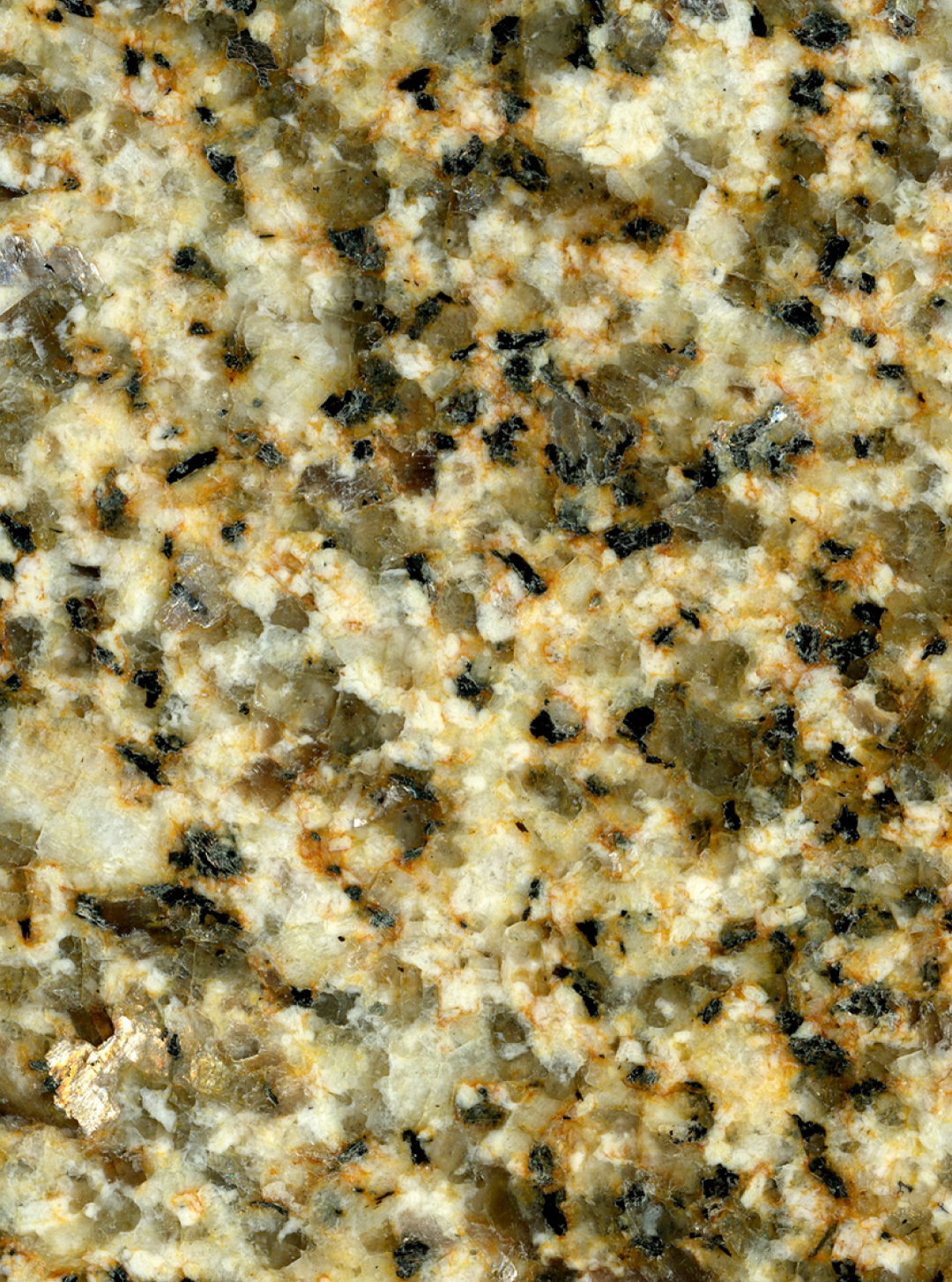 granito-Amarillo-Ornamental-artemarmol-colombia
