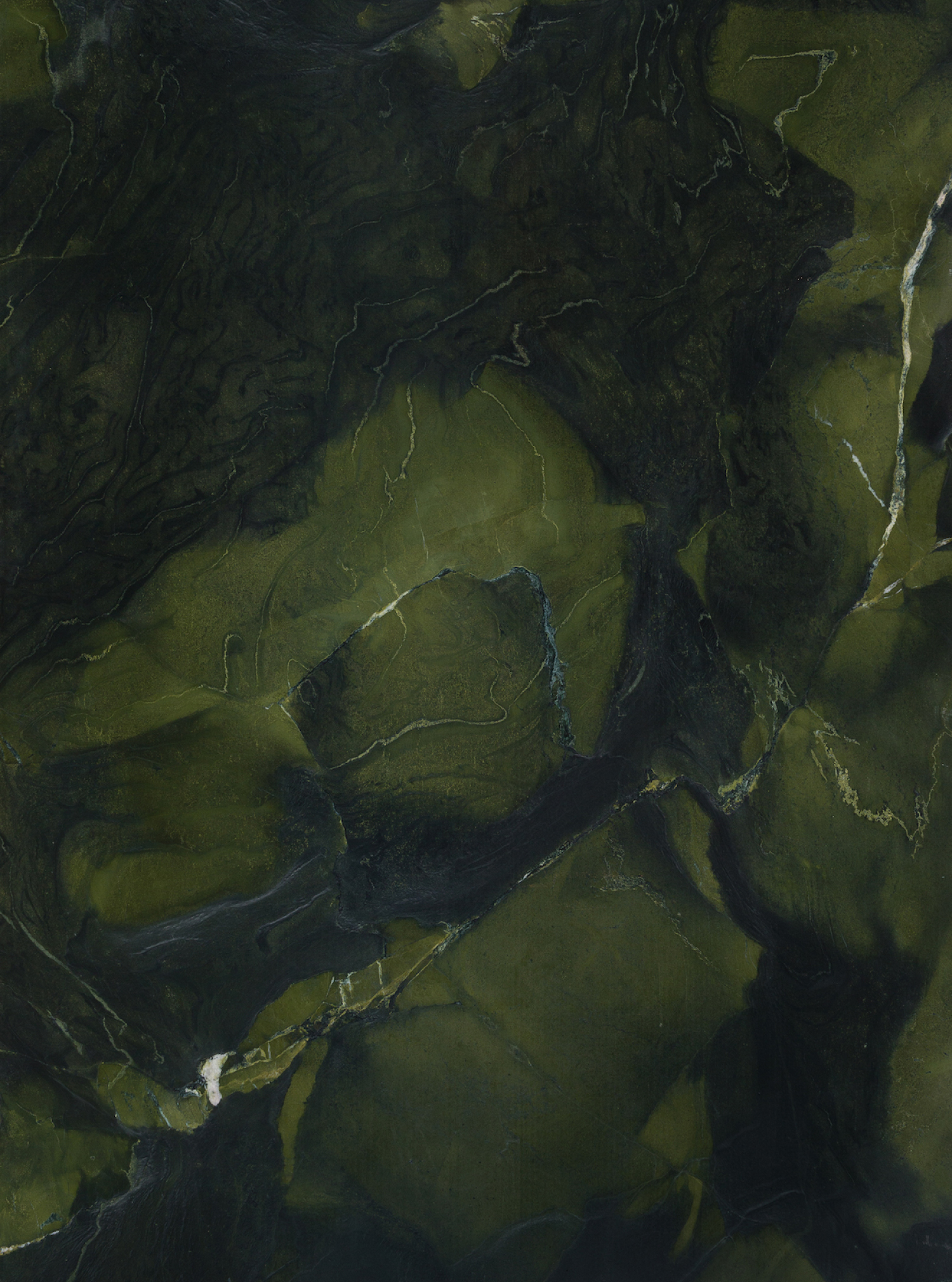 Avocatus-artemarmol-colombia