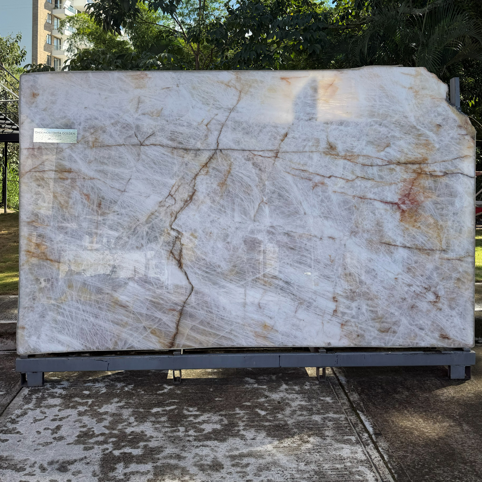 FORMATO-IMAGEN-LUXURY-MOSCOVITA-GOLDEN FORMATO-IMAGEN-LUXURY-MOSCOVITA-GOLDEN