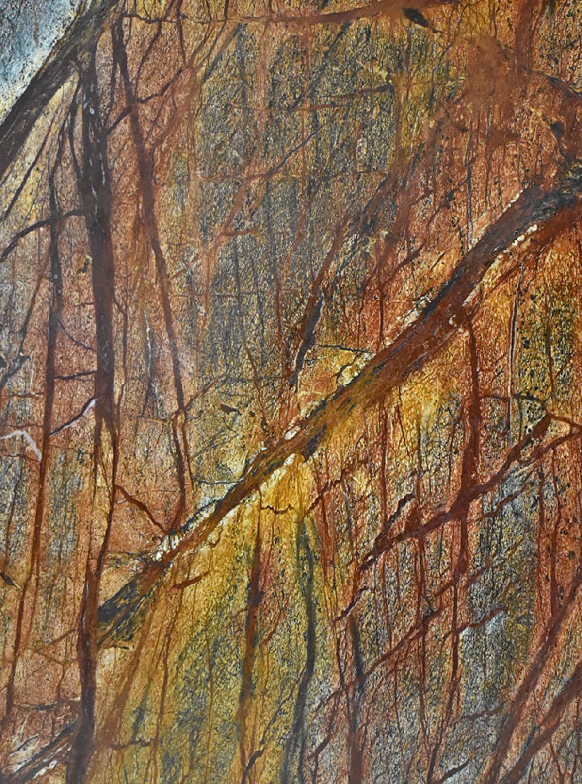 marmol-rainsforest-fuego-artemarmol-colombia