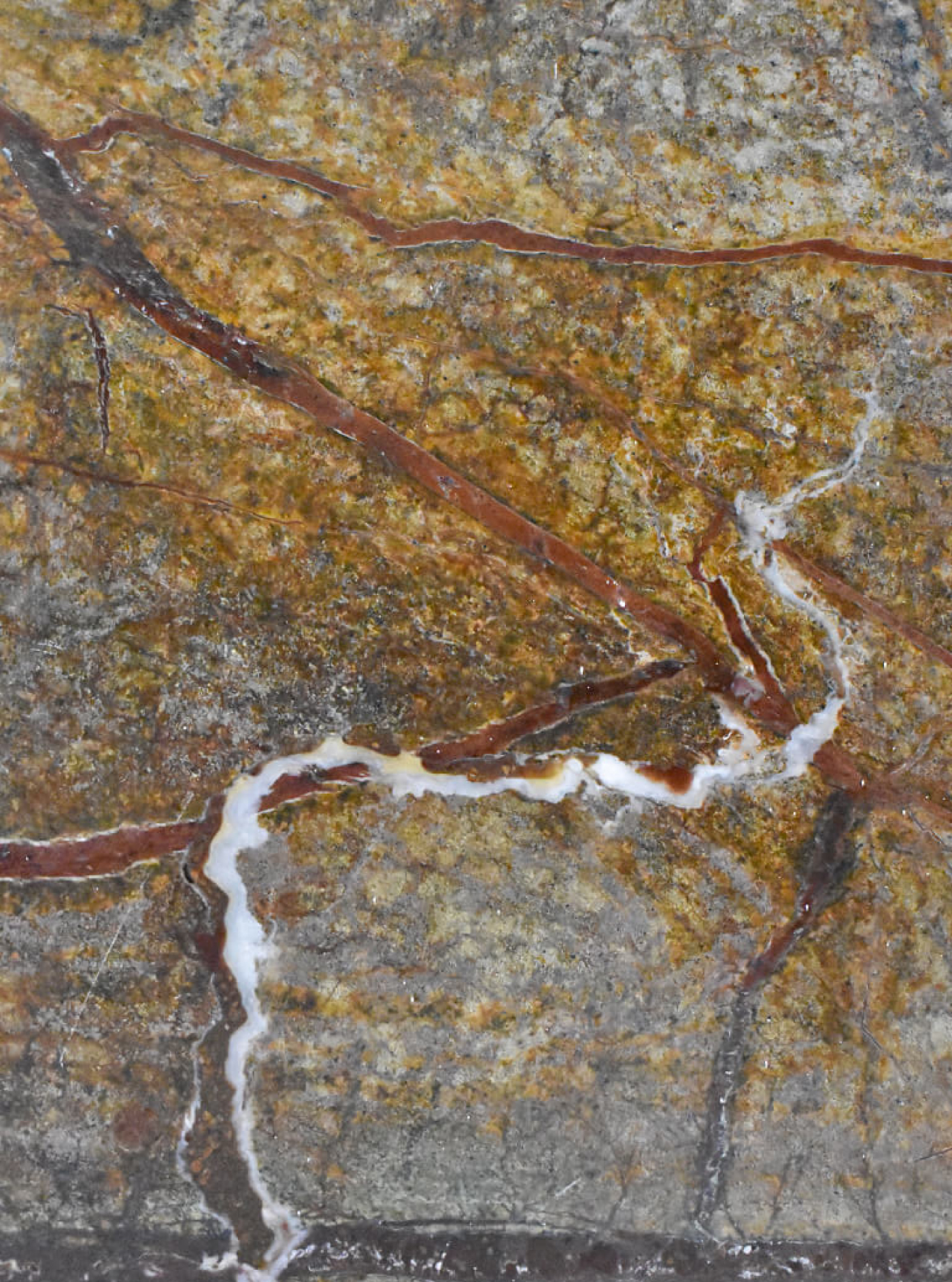 marmol-rainsforest-gold-artemarmol-colombia