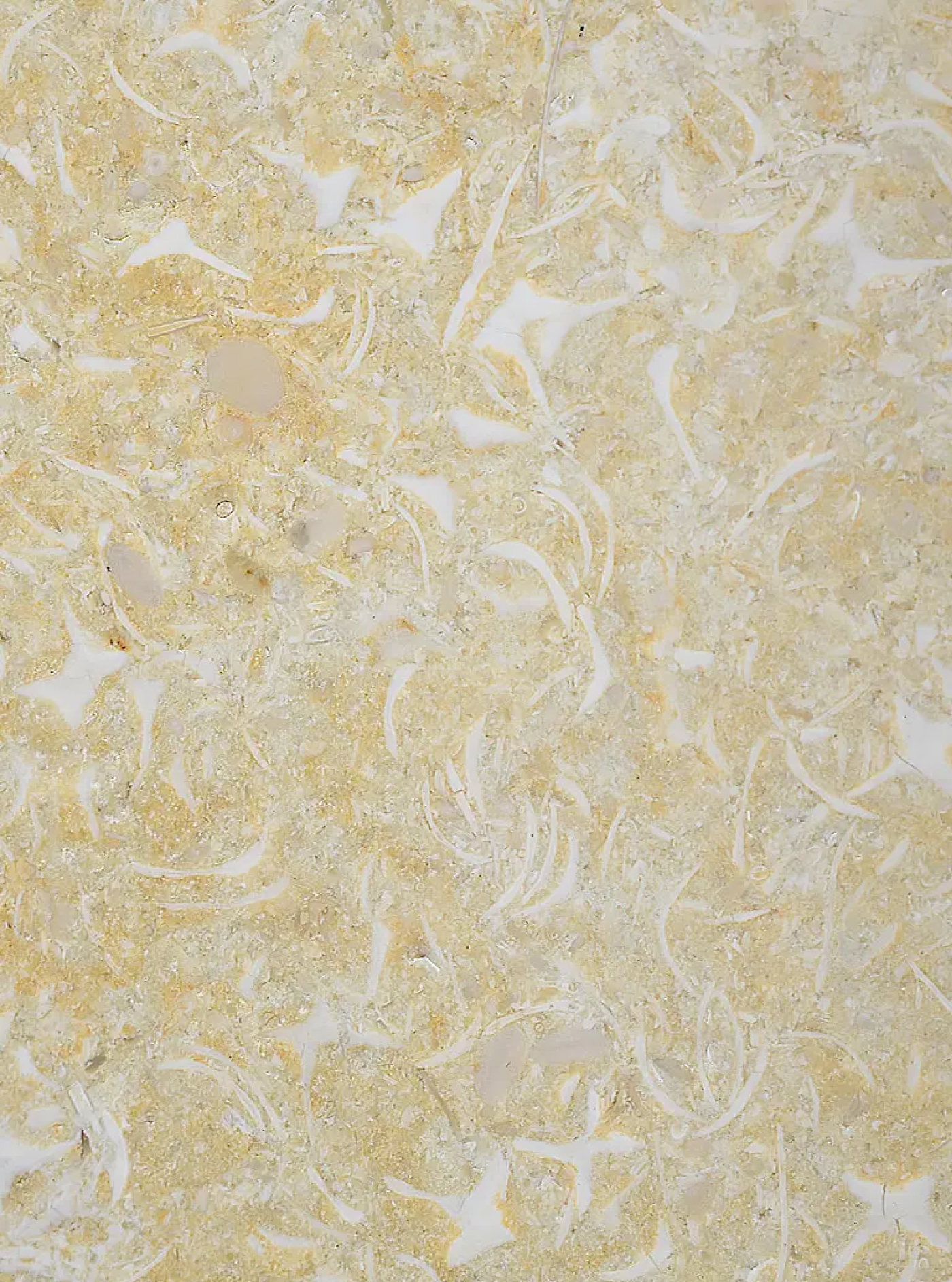 marmol-travertino-turco-artemarmol-colombia