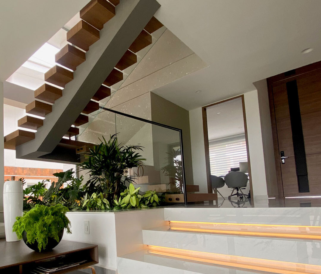 bosque alto escalera2