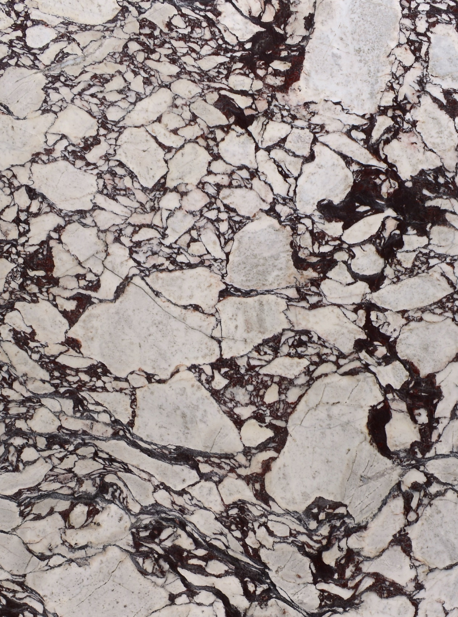 marmol-calacatta-viola-artemarmol-colombia