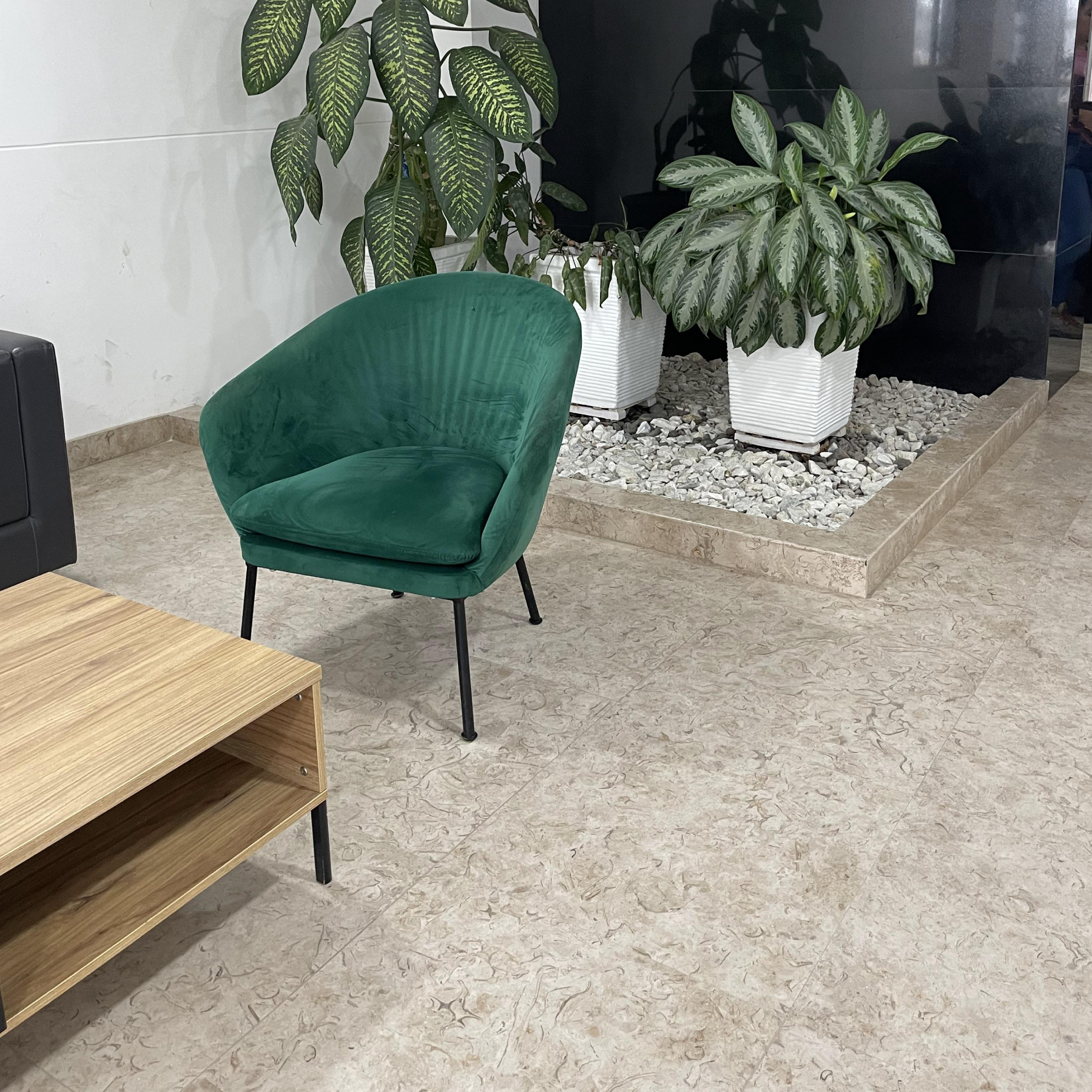 FORMATO-IMAGEN-APLICACION-MARMOL-CAFE-PINTO-CON-CARACOLES-PISO FORMATO-IMAGEN-APLICACION-MARMOL-CAFE-PINTO-CON-CARACOLES-PISO