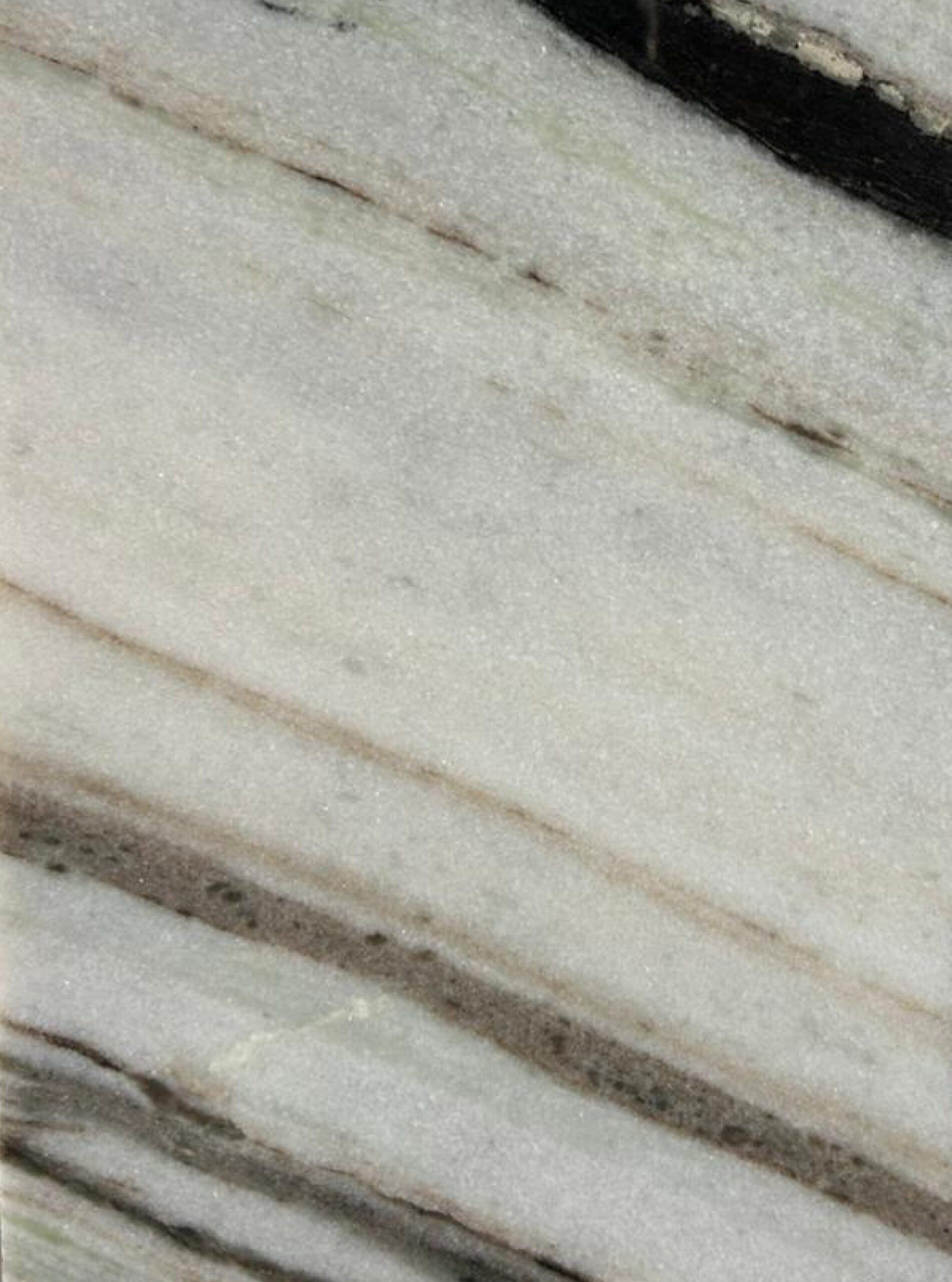 marmol-wild-panda-artemarmol-colombia